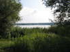 Balaton