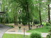 Balatonfenyves