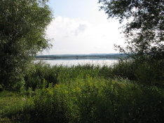Balaton