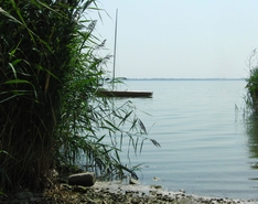 Balaton