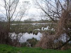 Kis Balaton