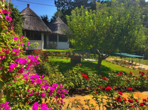Urlaub Am Plattensee Im Ferienhaus In Szigliget Ferienwohnung Szigliget Oder Hotel Szigliget