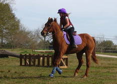 Reiten am Plattensee