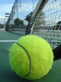 Tennisurlaub Plattensee - Balaton Netz