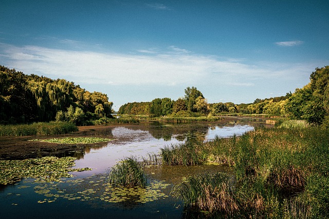Kis Balaton